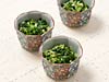 漬けもの, カツ代の家庭料理